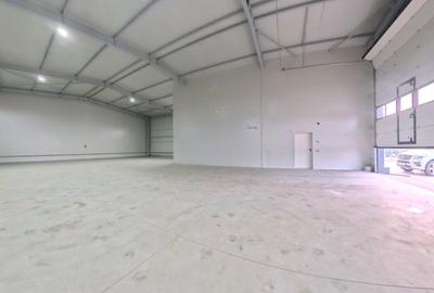 Chitila - str Dacia - hala 338mp - birouri 94mp -teren 1076mp - 12