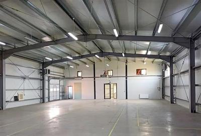 Spațiu comercial, de 580 mp, în Moșnița Nouă - 5