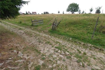 Teren de 7000 mp, în Piatra - 8