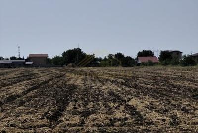 Teren intravilan Padurisu Com Frumusani, acces Sos Oltenitei, A0 - 3