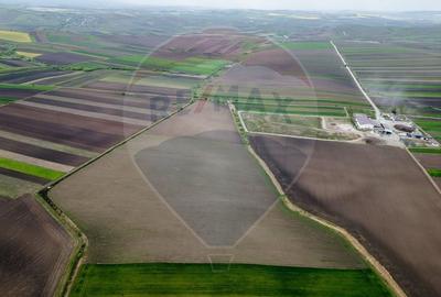 Teren 86,000mp Suceava / DN 17 - 4