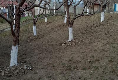 Casă cu 3 camere în Făget - 6