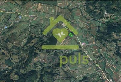 ? Teren intravilan 10.000 mp Mesteacan, jud. Hunedoara ? - 1