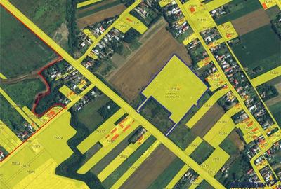 Teren de 29137 mp, în Vest - 4