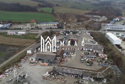 Teren industrial I 18100 mp I St. Betoane I Hale I Agnita - 3