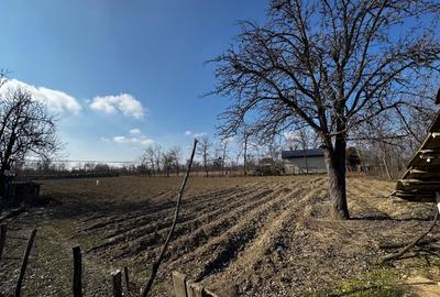 Casă individuală cu 3 camere cu Teren 1300 Mp în Hermeziu - 9