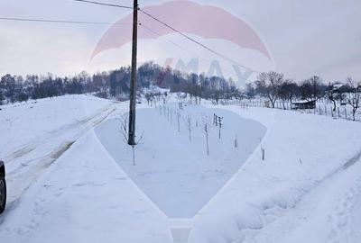 Spațiu comercial, în Bârsana - 5