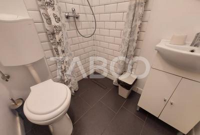 Casa de vanzare individuala pretabila regim hotelier Orasul de Jos - 20