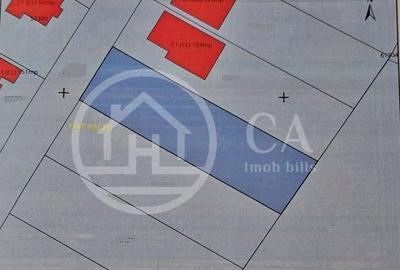 Spațiu comercial, în Paleu - 1