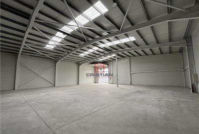 Depozit/hala/spatiu industrial Chiajna - Chitila - Rudeni - 2