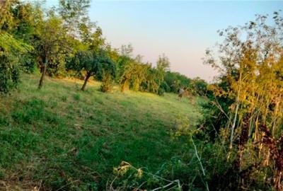 Teren în Măgurele - 5