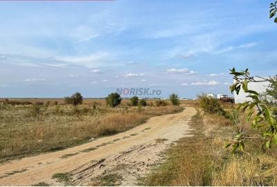 TEREN Dezv Logistica 2500mp posib extindere Centura CHITILA Rudeni - 1