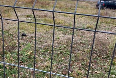 Spațiu comercial, în Războieni - 1