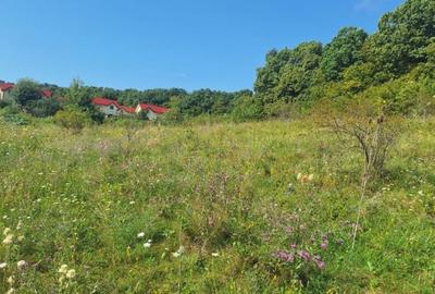 Teren in Chinteni langa padure 1425mp front 70ml - 3