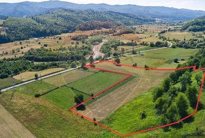 Teren Manastirea Humorului / Strada Principala 22,238 MP - 12