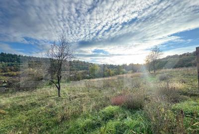 Teren intravila, 1466mp in comuna Bejan - 2