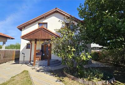Casă cu Teren 770 Mp în Lugojului - 9