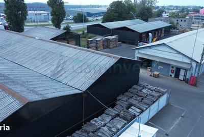 Spațiu comercial, de 5,500 mp, în Borș - 9