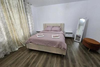 Casa, P+1, 240mp utili,teren 500 mp,piscina, jacuzzi, sauna, zona Selgros-Ionumi - 8