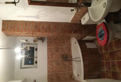 Apartament de inchiriat in Medias - 4