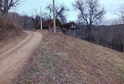 Casă cu 2 camere în Groș - 2