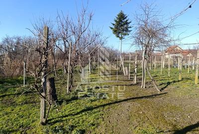 Casă cu 5 camere cu Teren 2158 Mp în Freidorf