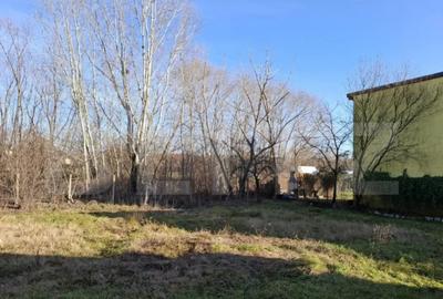 Casă cu 5 camere cu Teren 886 Mp în Ghiroda - 2