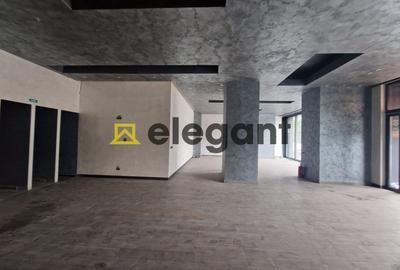 Spatiu comercial, 148 mp, Calea Bucuresti - 2