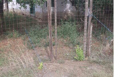 Casă cu 2 camere în Pogoanele - 4