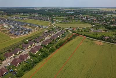 Teren Construcții intravilan de 10000 mp, în Balotești - 5
