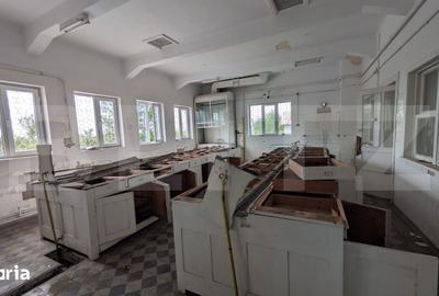 Casă cu 5 camere cu Teren 1216 Mp în Central - 10
