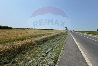 Teren Construcții intravilan de 10164 mp, în Est