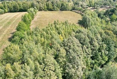 Teren intravilan, priveliste deosebita - 9