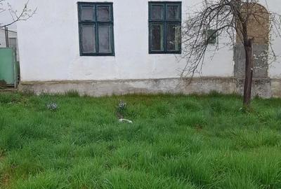 Teren de 2800 mp, în Iosif - 3