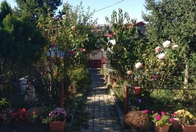 Casă cu 4 camere în Bucium - 3