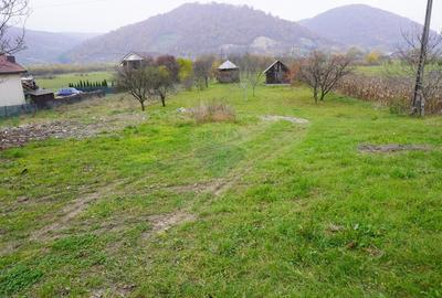 Teren 7968 mp Sighetu Marmatiei / Strada Lazu Baciului - 3