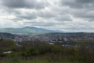 Teren agricol extravilan de 2900 mp, în Periferie - 8