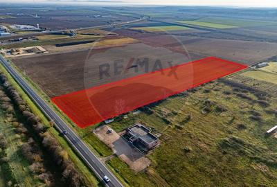 Teren 29220 mp Pecica,DN7, langa autostrada- Ideal pentru afaceri - 3