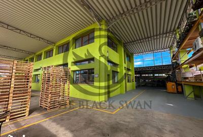 Spațiu comercial, de 800 mp, în Provița de Jos - 16