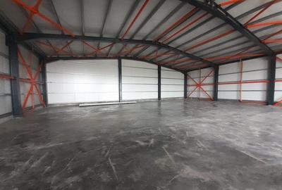 Hala noua in zona Drumul Intre Tarlale - 2