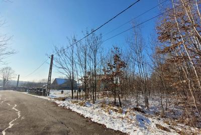 Teren intravilan, situat in Scoarta, sat Pistestii din Deal - 2