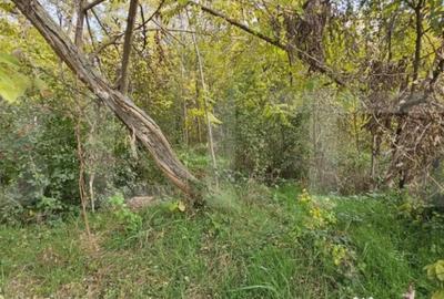 Teren de 1950 mp, în Gorgota - 3