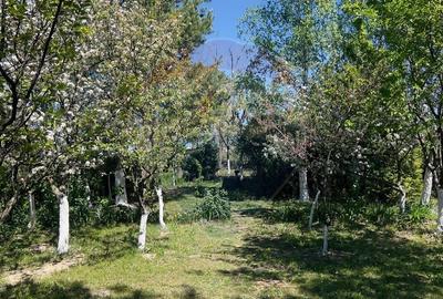 Casă individuală cu 4 camere cu Teren 959 Mp în Lăzăreni - 4