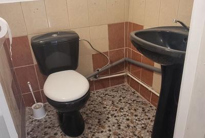 Spațiu comercial, în Dumbrăvița - 3