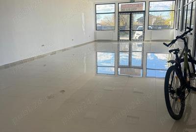 Casa de vanzare , Bradu - 8