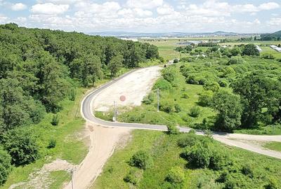 Teren Construcții intravilan de 5500 mp, în Cristian - 31