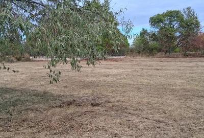 Teren intravilan 836 mp , deschidere 24 ml , zona linistita - 2