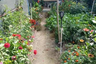 Casa 4 camere, 146 mp, zona 14 Mai - 4