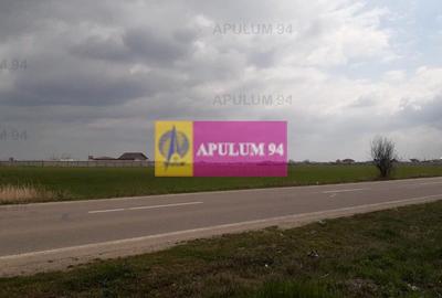 Teren Construcții intravilan de 5110 mp, în 1 Decembrie - 43