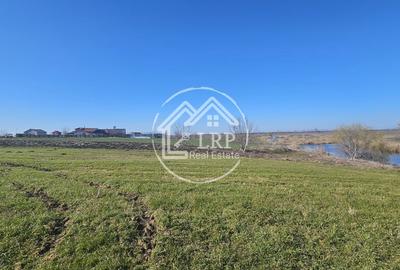 Teren Construcții intravilan de 646 mp, în Dascălu - 8